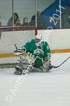 JV Hockey 380