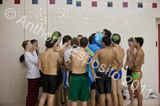Swim 006