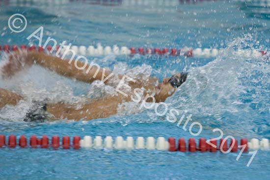 Swim 008