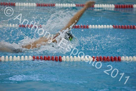 Swim 009