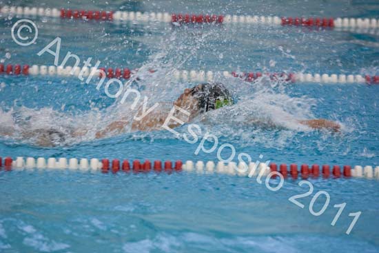 Swim 010