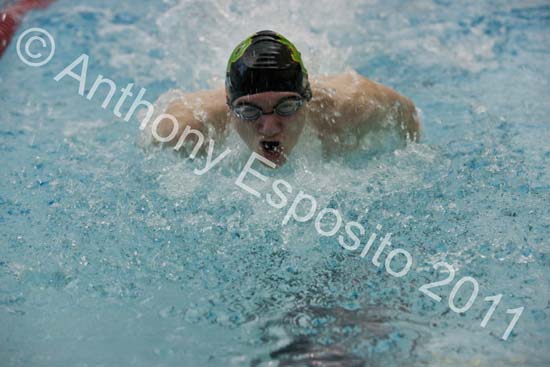 Swim 021
