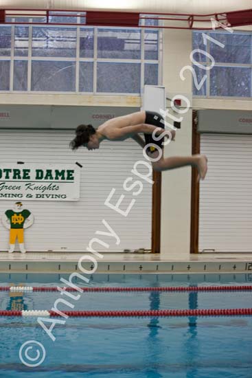 Swim 108