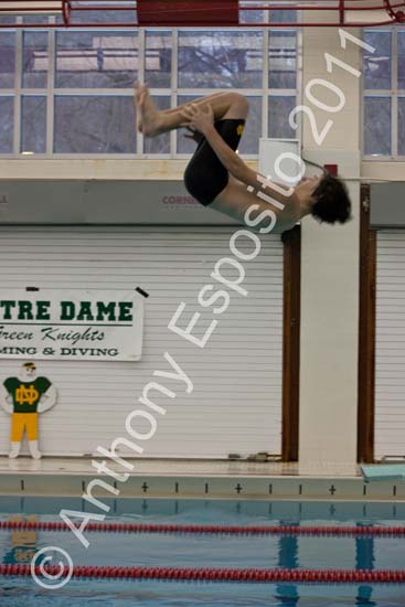 Swim 110