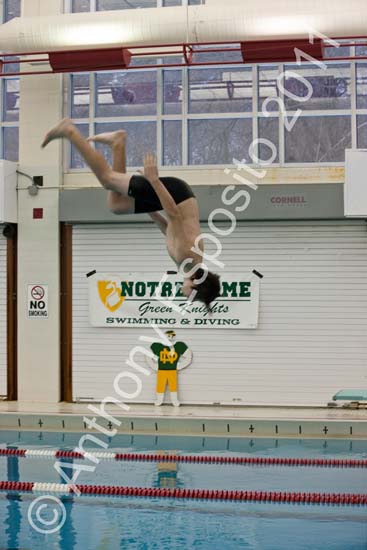 Swim 125