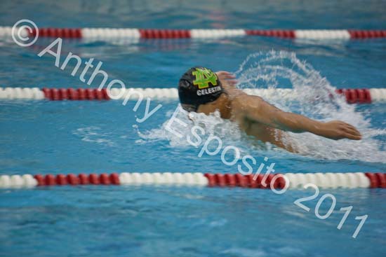 Swim 165
