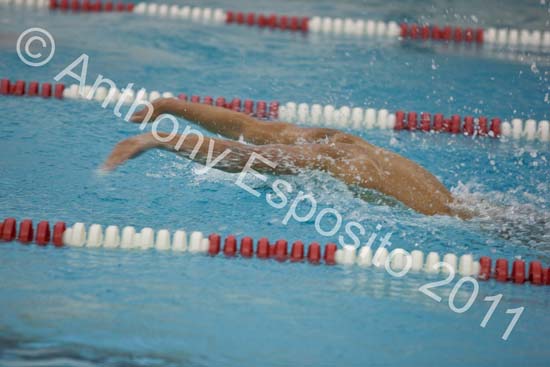 Swim 167