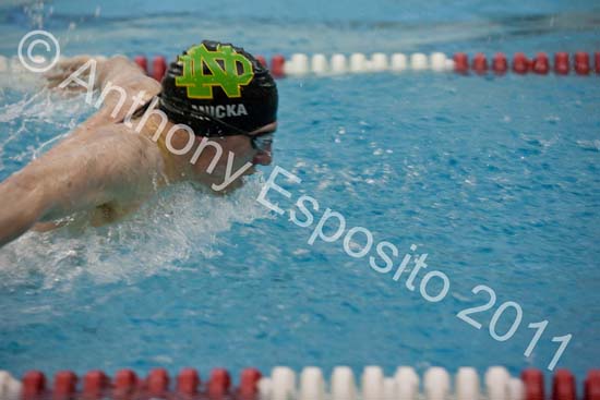 Swim 168