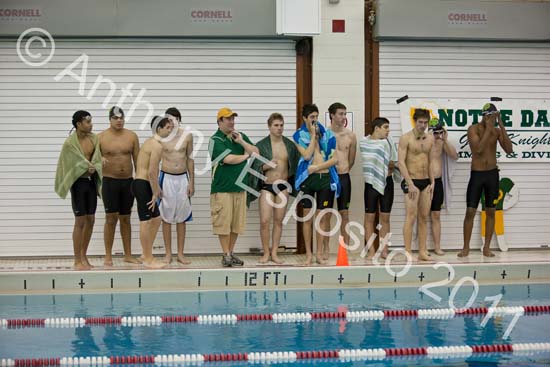 Swim 176