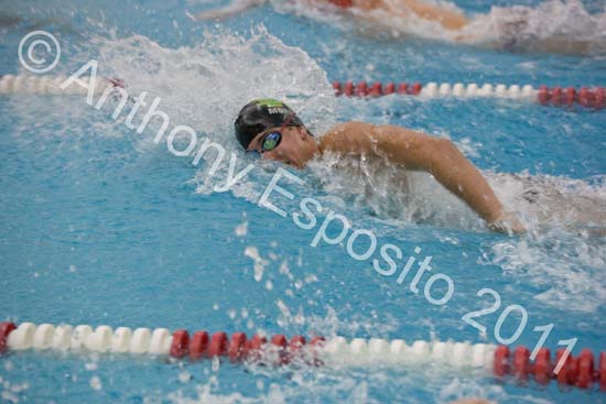 Swim 177