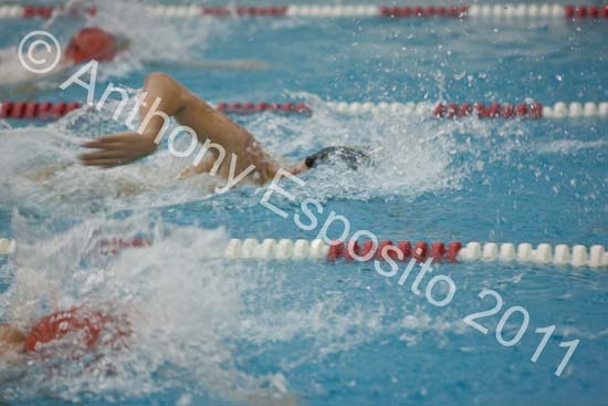 Swim 181