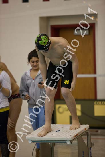 Swim 184