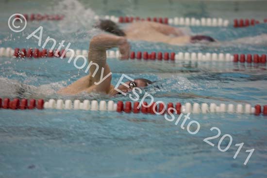 Swim 220