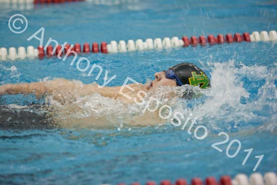 Swim 252