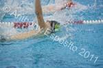 Swim 011