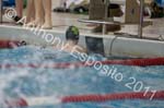 Swim 022