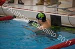 Swim 025