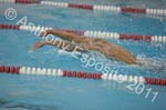 Swim 167