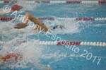 Swim 181