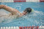 Swim 230