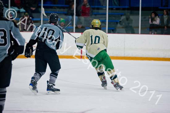 V Hockey 110