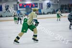 V Hockey 206