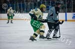 V Hockey 229