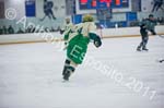 V Hockey 236