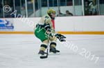 V Hockey 238