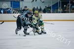V Hockey 247
