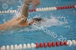 Swim 288
