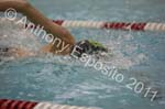 Swim 294